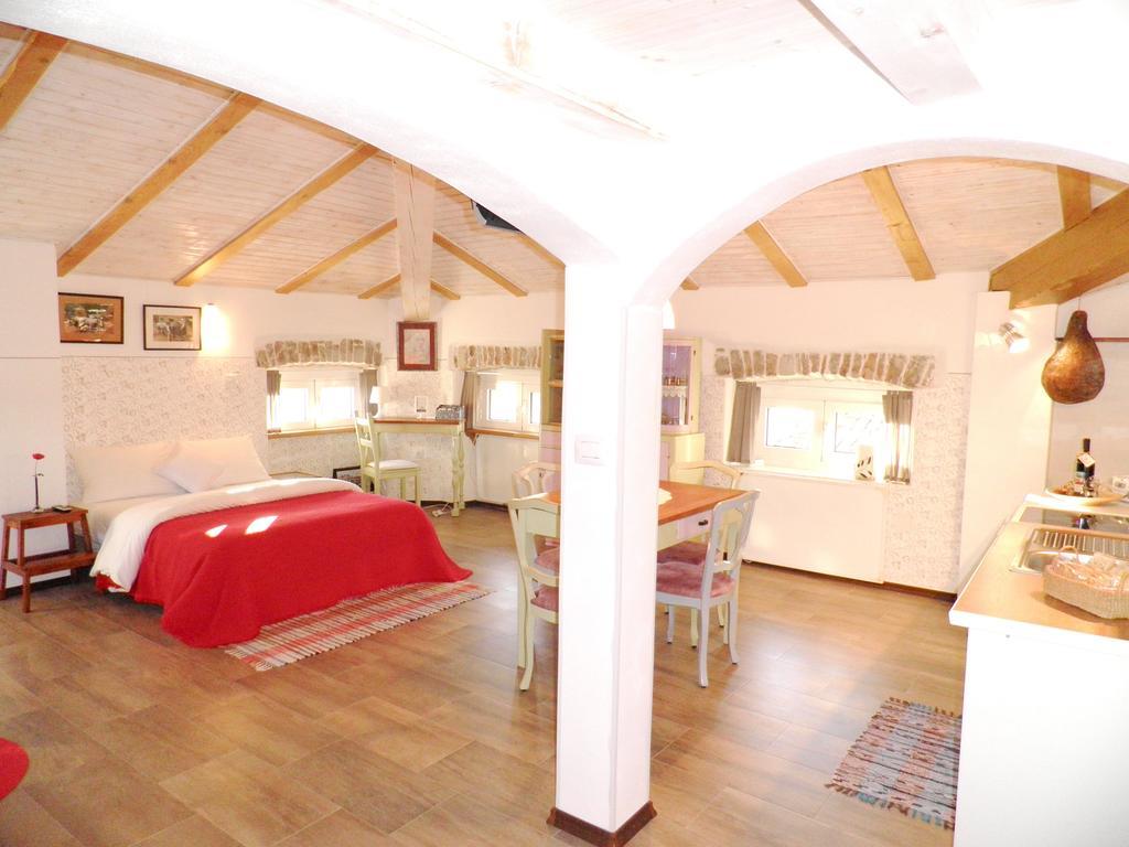 Apartmán Studio Sijara Motovun Pokoj fotografie