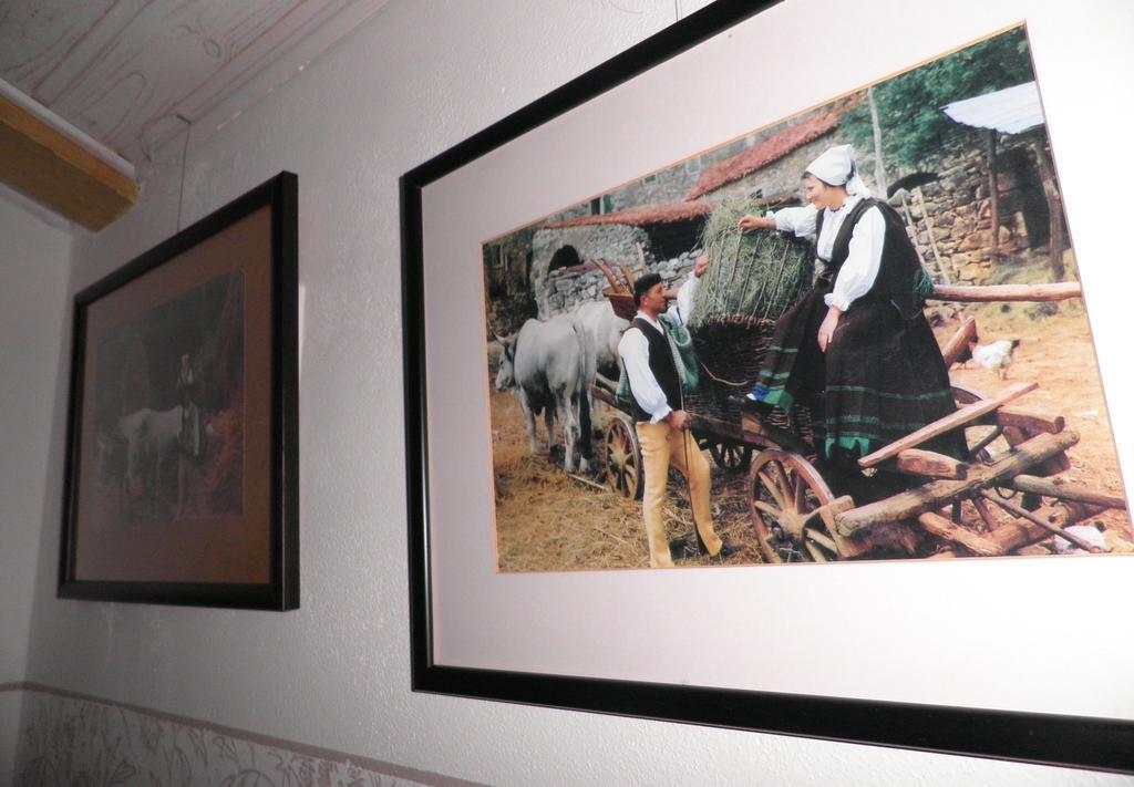 Apartmán Studio Sijara Motovun Pokoj fotografie
